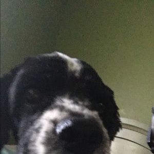 Meet your Posher, Chris